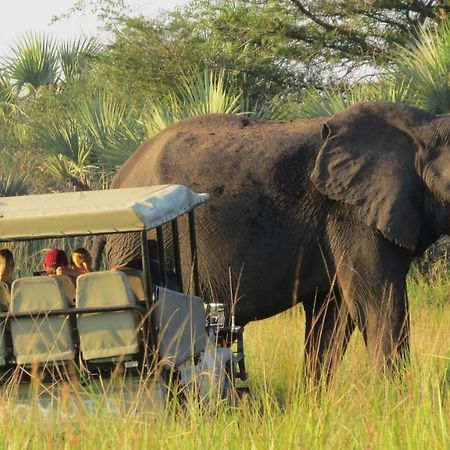 Tembe Elephant Park Lodge Sihangwane Ngoại thất bức ảnh