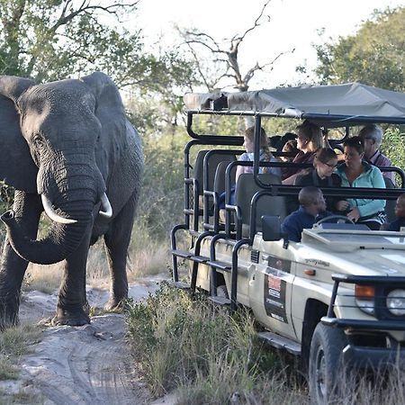 Tembe Elephant Park Lodge Sihangwane Ngoại thất bức ảnh