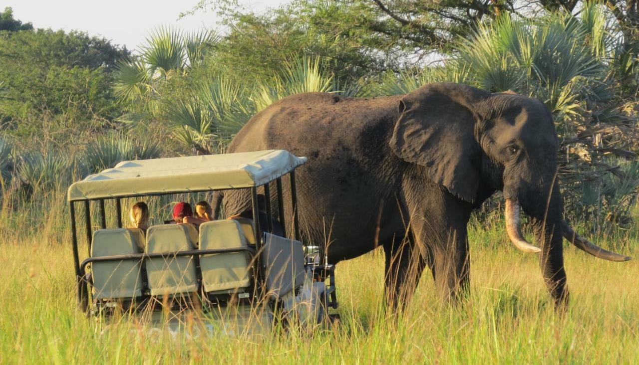 Tembe Elephant Park Lodge Sihangwane Ngoại thất bức ảnh