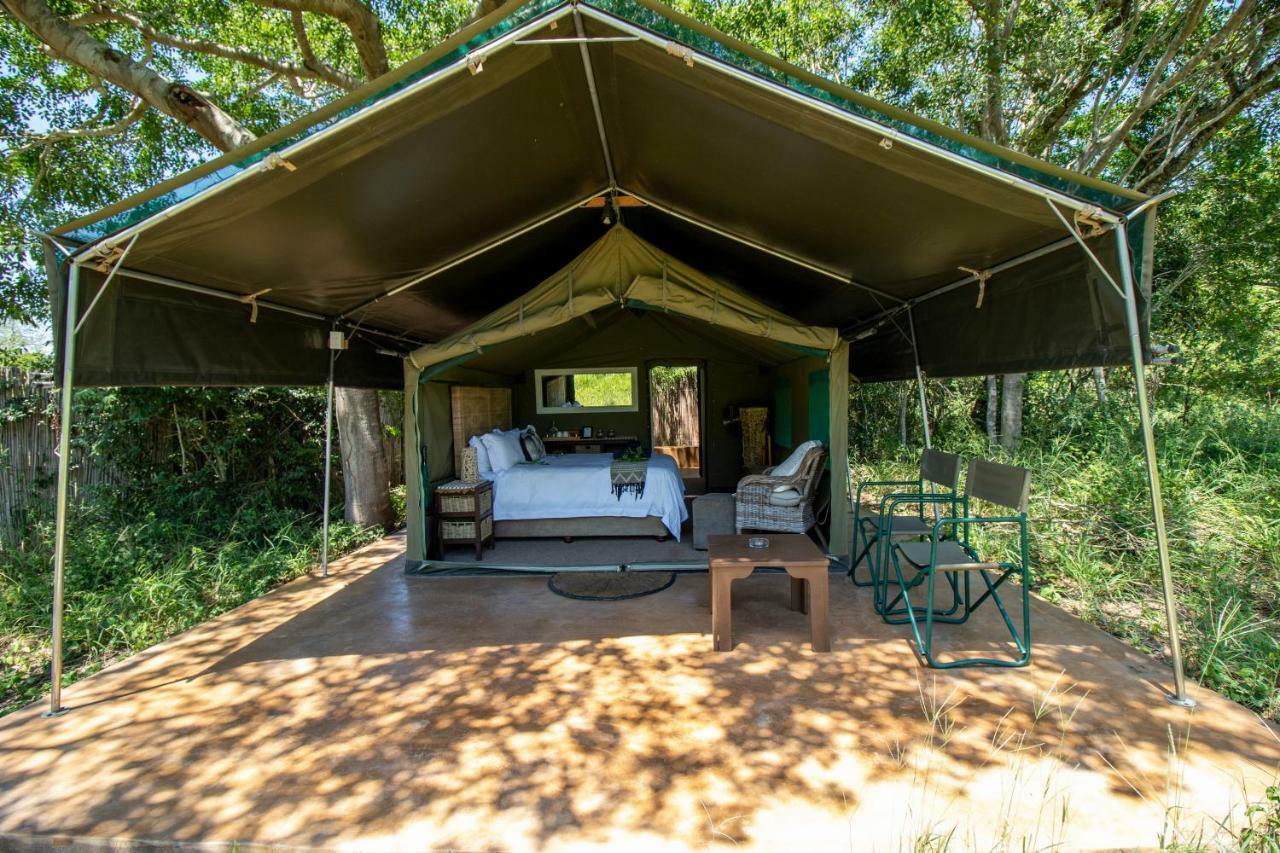 Tembe Elephant Park Lodge Sihangwane Ngoại thất bức ảnh