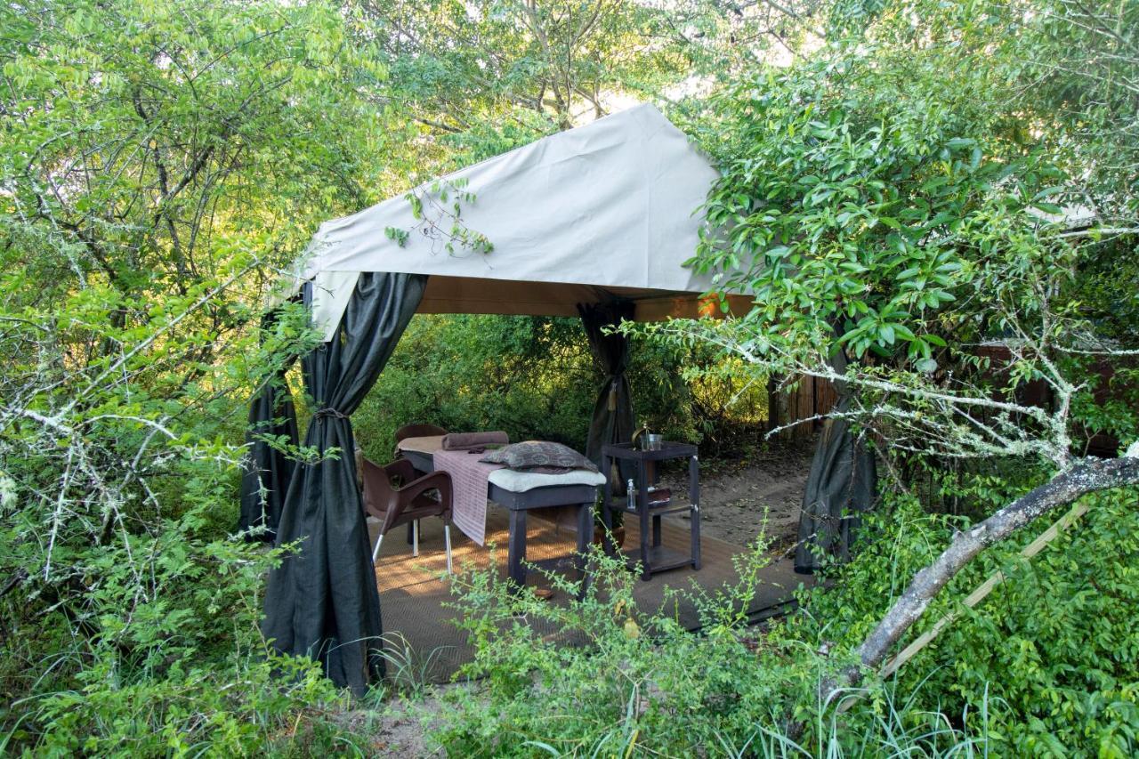 Tembe Elephant Park Lodge Sihangwane Ngoại thất bức ảnh