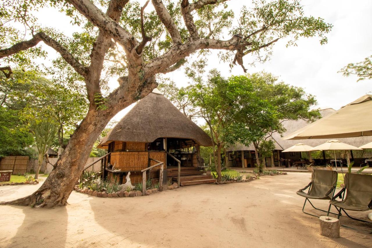 Tembe Elephant Park Lodge Sihangwane Ngoại thất bức ảnh