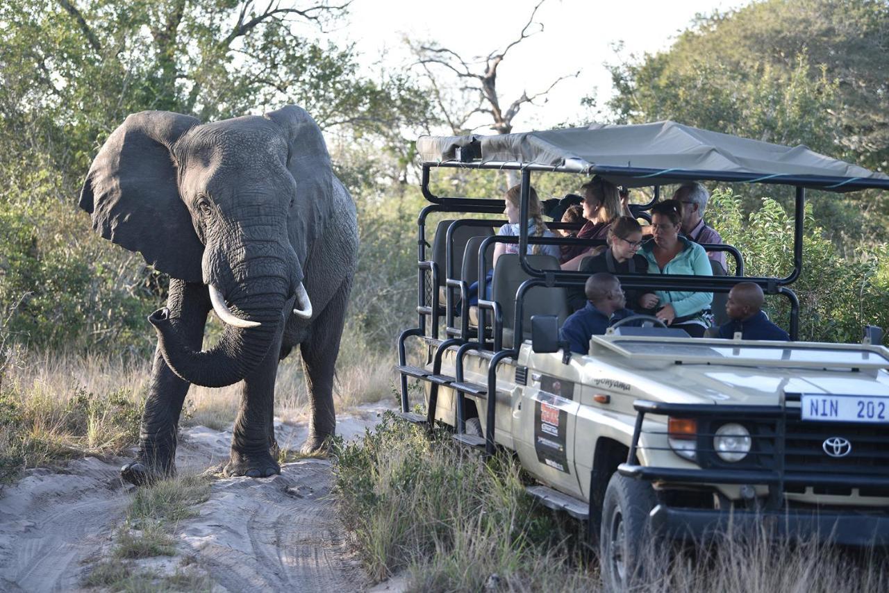 Tembe Elephant Park Lodge Sihangwane Ngoại thất bức ảnh