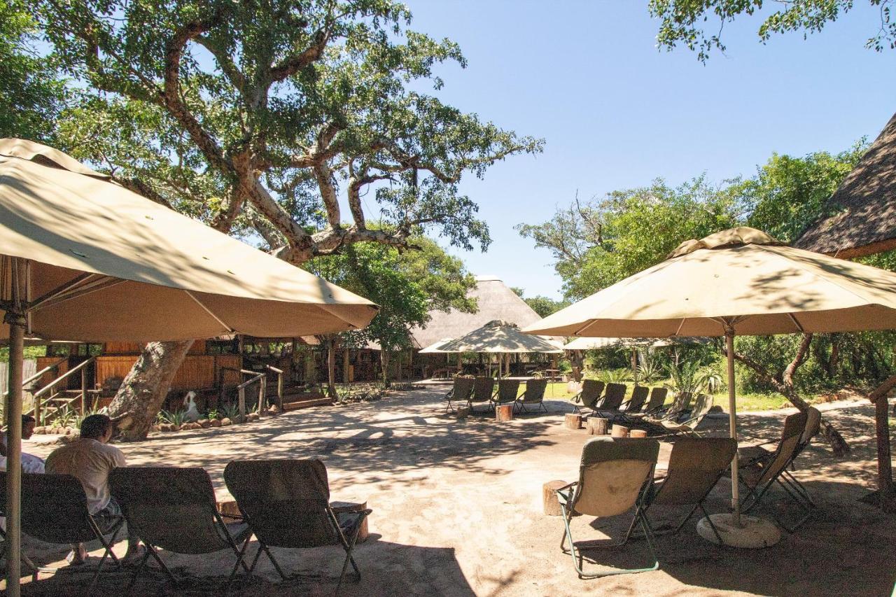 Tembe Elephant Park Lodge Sihangwane Ngoại thất bức ảnh